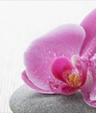 MLV - Paros Luxury Villas