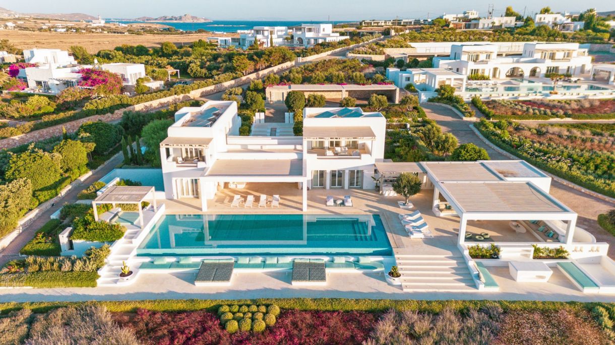 Amaryllis One image 1