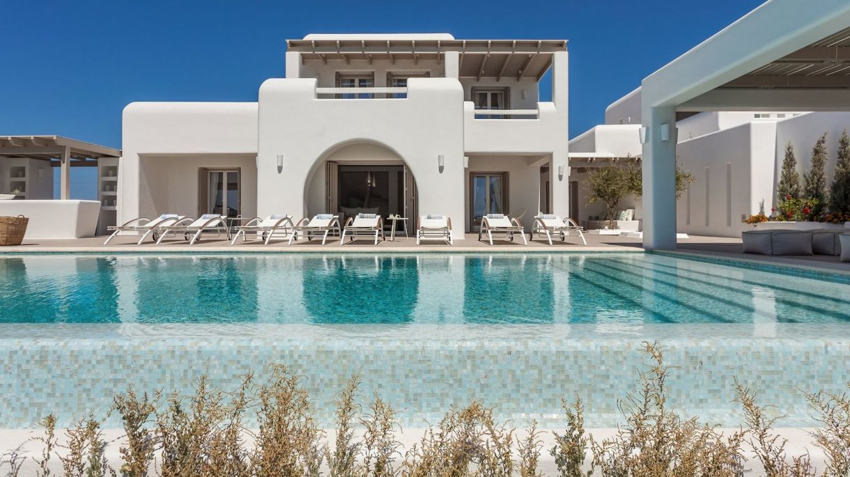 Amaryllis Two image 1