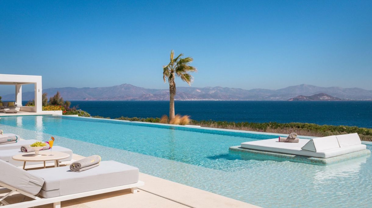 Amaryllis Four image 2