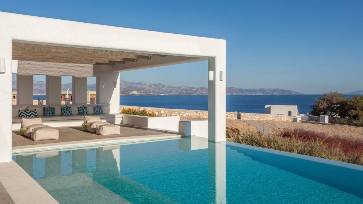 Amaryllis Three image 1