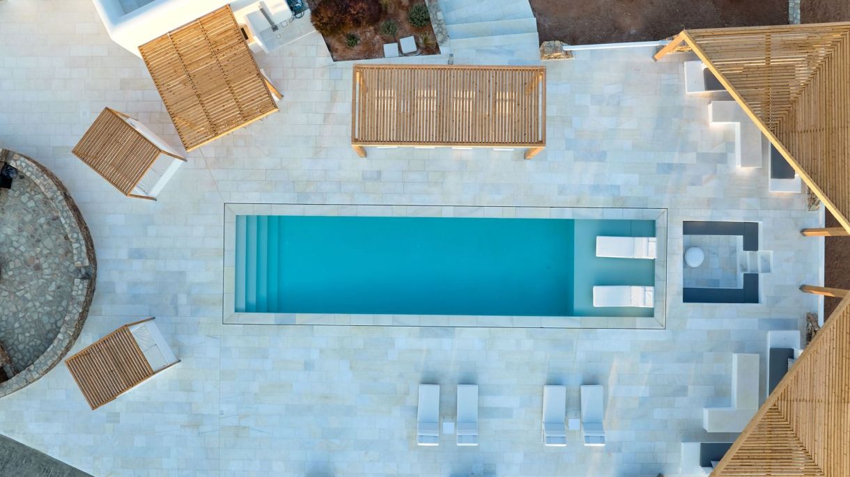 Seashell Two image 3