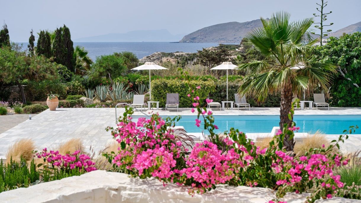 Navy Blue Estate image 4